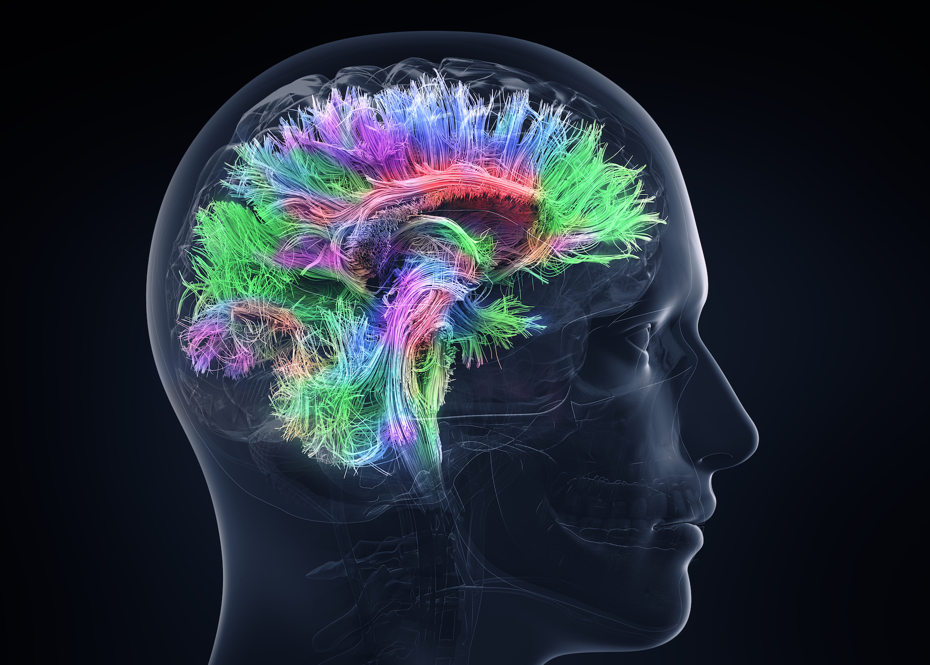 Brain memory retention